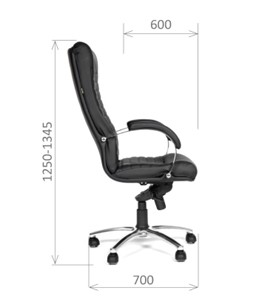 Кресло офисное CHAIRMAN 480 Экокожа премиум черная в Орле - предосмотр 2